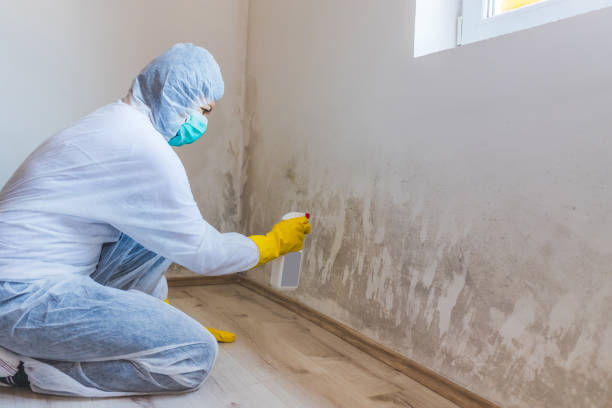 Licensed Crawl Space Mold Remediation service in Chandler, TX - 24 Hour Mold Removal