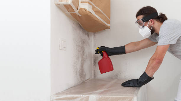 Professional Crawl Space Mold Remediation technician working in Chandler, TX