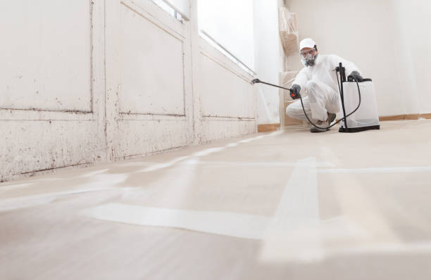 24/7 Emergency Crawl Space Mold Remediation experts in Chandler, TX