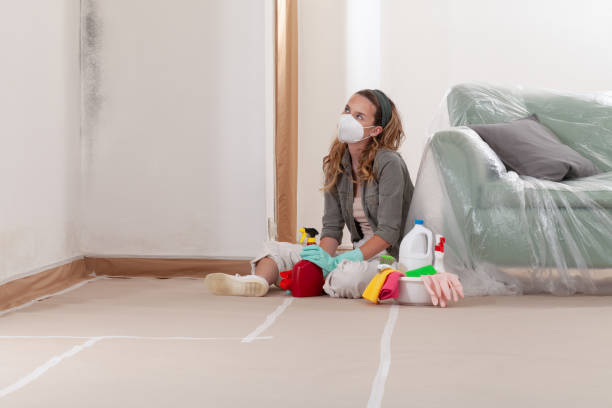 Reliable Crawl Space Mold Remediation contractor in Chandler, TX by 24 Hour Mold Removal