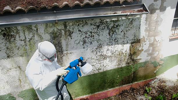 Top rated local Crawl Space Mold Remediation specialists in Chandler, TX